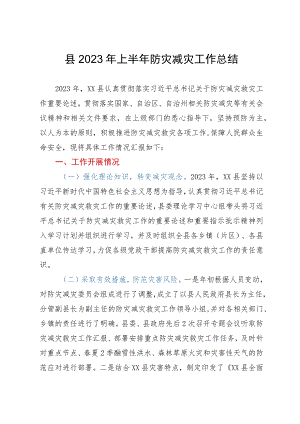 县2023年上半年防灾减灾工作总结.docx