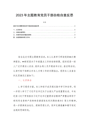 2023年主题教育党员干部自检自查反思.docx