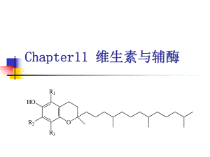 第11章维生素、辅酶.ppt