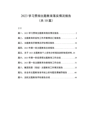 2023学习贯彻主题教育落实情况报告（共10篇）.docx