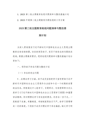 两篇：2023第二批主题教育检视问题清单与整改措施计划及方案范文.docx