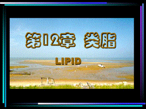 第12章类脂.ppt