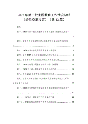 2023年第一批主题教育工作情况总结（经验交流发言）（共12篇）.docx