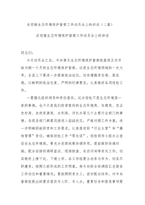在迎接生态环境保护督察工作动员会上的讲话(二篇).docx
