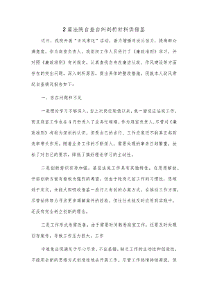 2篇法院自查自纠剖析材料供借鉴.docx