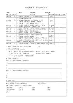 试用期员工工作综合评价表.docx