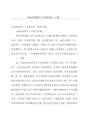 水电站检修个人年度总结（3篇）.docx