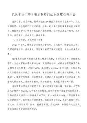 管理局乡镇挂职干部锻炼心得体会.docx