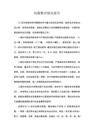 问题整改情况报告.docx