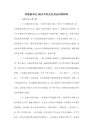 党委副书记2023年民主生活会对照材料.docx
