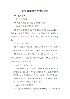 党支部巡察工作情况汇报.docx