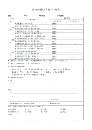 员工阶段性工作综合评价表.docx