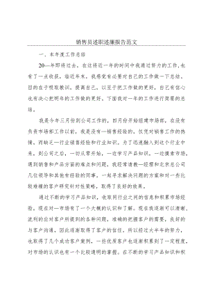 销售员述职述廉报告范文.docx