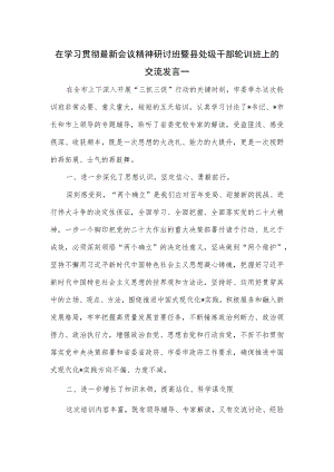 在学习贯彻最新会议精神研讨班暨县处级干部轮训班上的交流发言一.docx