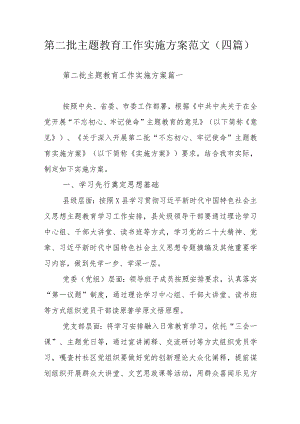 第二批主题教育工作实施方案范文（四篇）.docx