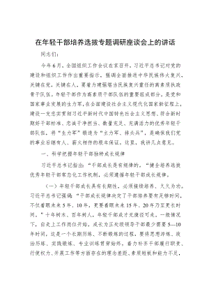 在年轻干部培养选拔专题调研座谈会上的讲话.docx