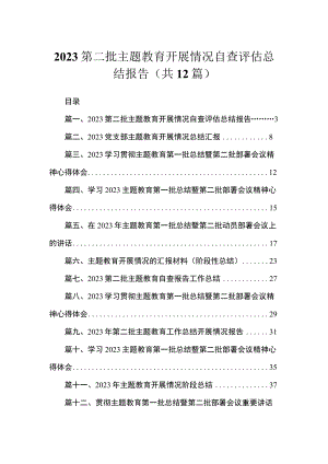 2023第二批主题教育开展情况自查评估总结报告（共12篇）.docx