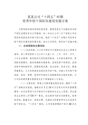 某某公司“十四五”时期优秀年轻干部队伍建设实施方案.docx