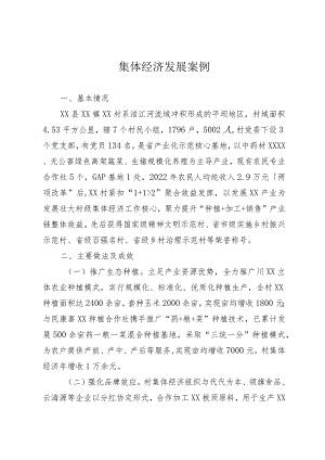 集体经济发展案例.docx