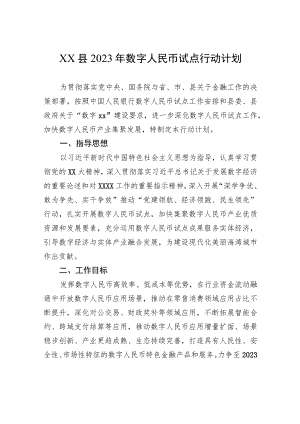 XX县2023年数字人民币试点行动计划.docx