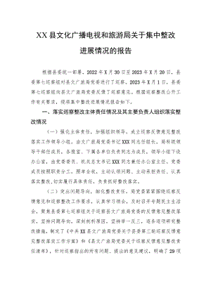 XX县文化广播电视和旅游局关于集中整改进展情况的报告.docx