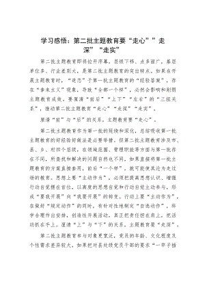 学习感悟：第二批主题教育要“走心”“走深”“走实”.docx