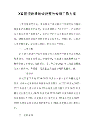 XX区流出耕地恢复整改专项工作方案 .docx
