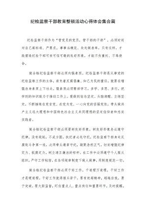 纪检监察干部教育整顿活动心得体会集合篇.docx