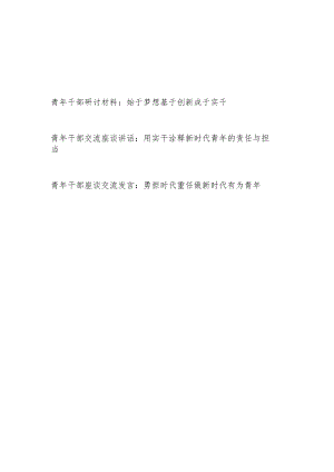 2023青年干部关于梦想创新实干专题研讨发言材料.docx