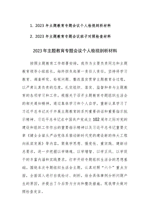 2023年主题教育专题会议个人（班子）检视剖析材料参考范文2篇.docx