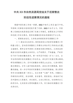 中共XX市自然资源局党组关于巡察整改阶段性进展情况的通报（20230814）.docx