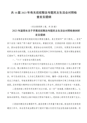 共10篇2023年有关巡视整改专题民主生活会对照检查发言提纲.docx