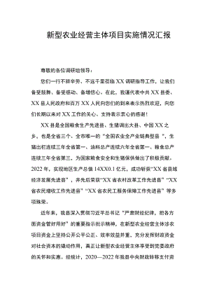 新型农业经营主体项目实施情况汇报.docx