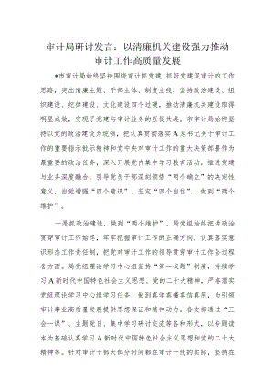 审计局研讨发言.docx