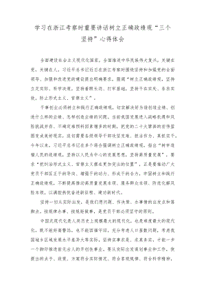 (3篇）2023学习在浙江考察时重要讲话树立正确政绩观“三个坚持”心得体会.docx