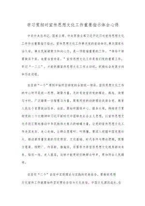 学习贯彻对宣传思想文化工作重要指示体会心得.docx