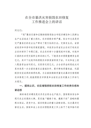 在全市暴洪灾害损毁农田修复工作推进会上的讲话.docx