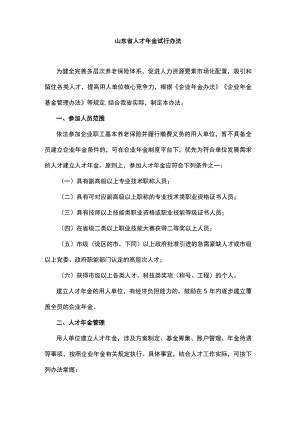 山东省人才年金试行办法.docx