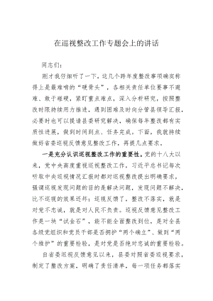 在巡视整改工作专题会上的讲话.docx