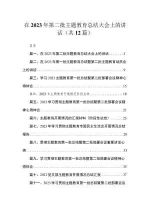 在2023年第二批主题教育总结大会上的讲话（共12篇）.docx
