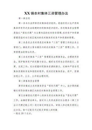 XX镇农村集体三资管理办法 .docx