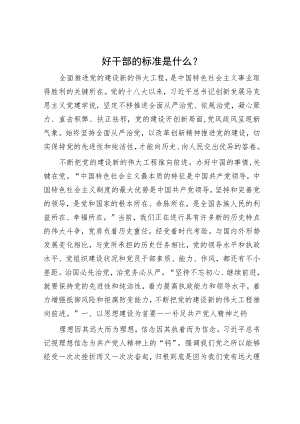 好干部的标准是什么？.docx
