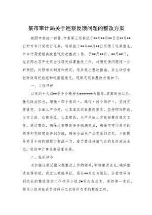 某市审计局关于巡察反馈问题的整改方案.docx