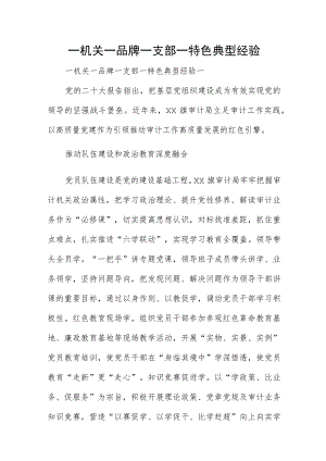 一机关一品牌 一支部一特色典型经验.docx