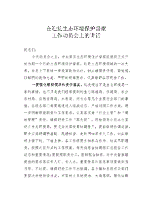 在迎接生态环境保护督察工作动员会上的讲话.docx