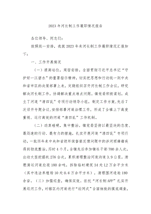 2023年河长制工作履职情况报告.docx