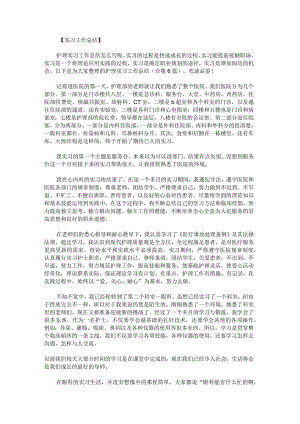 护理实习工作总结.docx