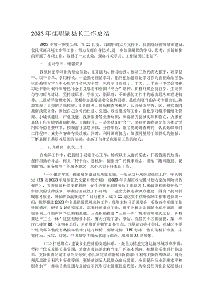 2023年挂职副县长工作总结.docx