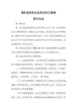 XX县国有企业劳动用工管理暂行办法 .docx