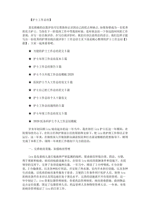 护士工作总结.docx